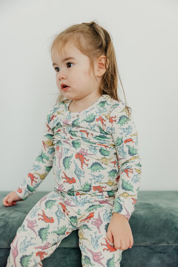 2pc Long Sleeve Pajama Set - Dinosaurs of Jurassic Park Cheap - Image 2