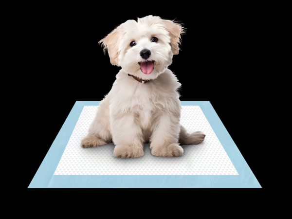 Puppy Pee Pads with 5-Layer Leak-Proof Design and Quick-Dry Surface with Odor-Control Carbon 17 x 24 Inch, 50 Pack Online Hot Sale